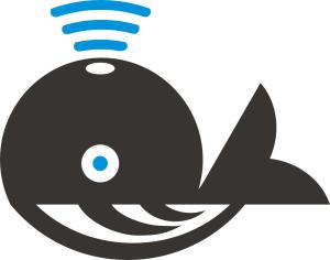 河南千魚網(wǎng)絡科技