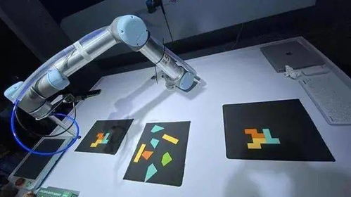 專家支招，黑科技亮相 這場(chǎng)展會(huì)連接武漢未來生活場(chǎng)景