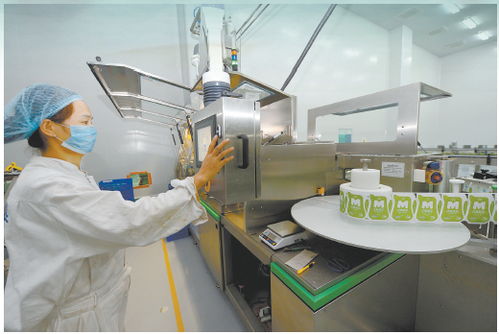 兵團大眾創(chuàng)業(yè)萬眾創(chuàng)新系列觀察之六 生物技術(shù)企業(yè)如何破繭騰飛