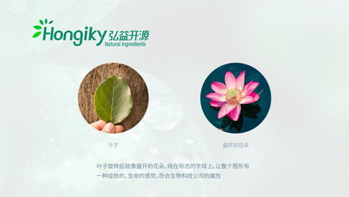 生物科技公司logo設(shè)計(jì)定稿提案